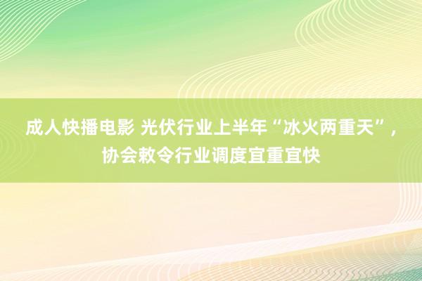 成人快播电影 光伏行业上半年“冰火两重天”，协会敕令行业调度宜重宜快