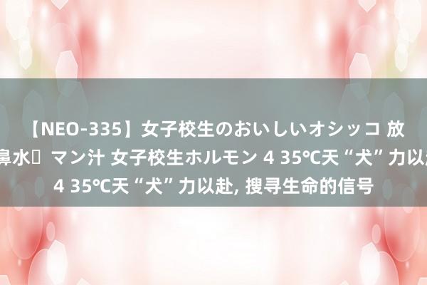 【NEO-335】女子校生のおいしいオシッコ 放尿・よだれ・唾・鼻水・マン汁 女子校生ホルモン 4 35℃天“犬”力以赴， 搜寻生命的信号