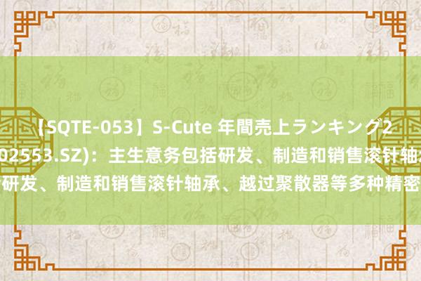 【SQTE-053】S-Cute 年間売上ランキング2013 TOP30 南边精工(002553.SZ)：主生意务包括研发、制造和销售滚针轴承、越过聚散器等多种精密零部件居品