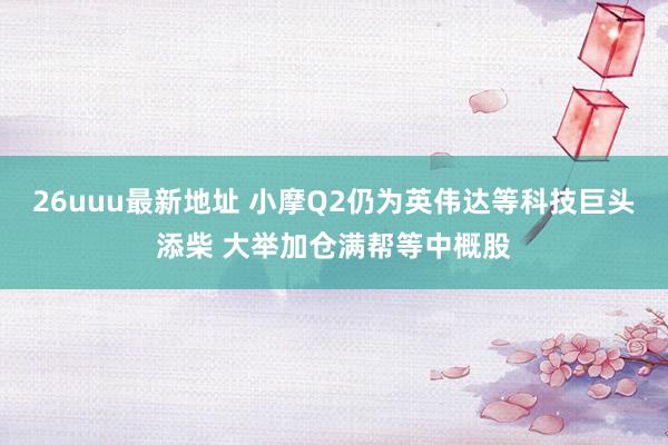 26uuu最新地址 小摩Q2仍为英伟达等科技巨头添柴 大举加仓满帮等中概股