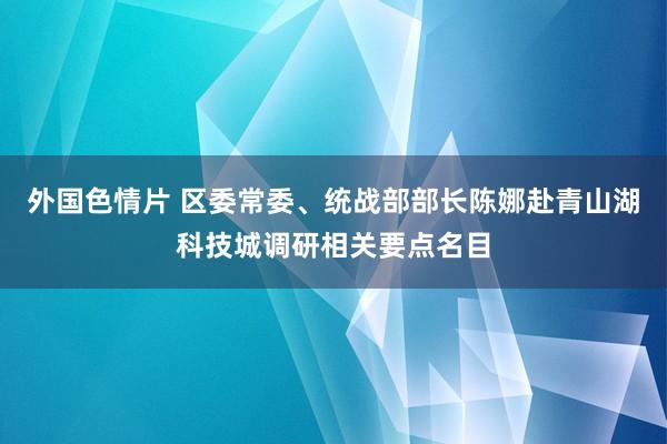 外国色情片 区委常委、统战部部长陈娜赴青山湖科技城调研相关要点名目