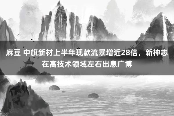 麻豆 中旗新材上半年现款流暴增近28倍，新神志在高技术领域左右出息广博