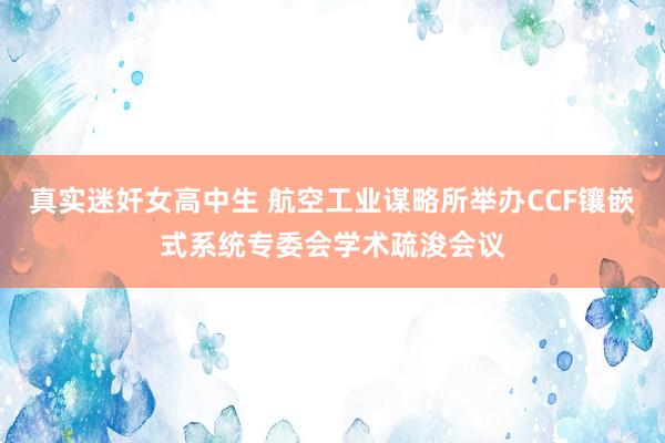 真实迷奸女高中生 航空工业谋略所举办CCF镶嵌式系统专委会学术疏浚会议