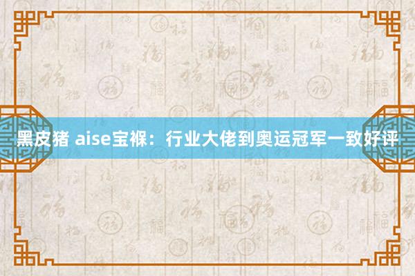 黑皮猪 aise宝褓：行业大佬到奥运冠军一致好评