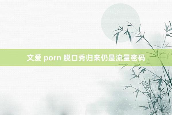 文爱 porn 脱口秀归来仍是流量密码