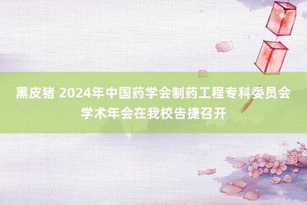 黑皮猪 2024年中国药学会制药工程专科委员会学术年会在我校告捷召开