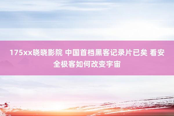 175xx晓晓影院 中国首档黑客记录片已矣 看安全极客如何改变宇宙